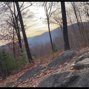 Meet your Posher, Devin